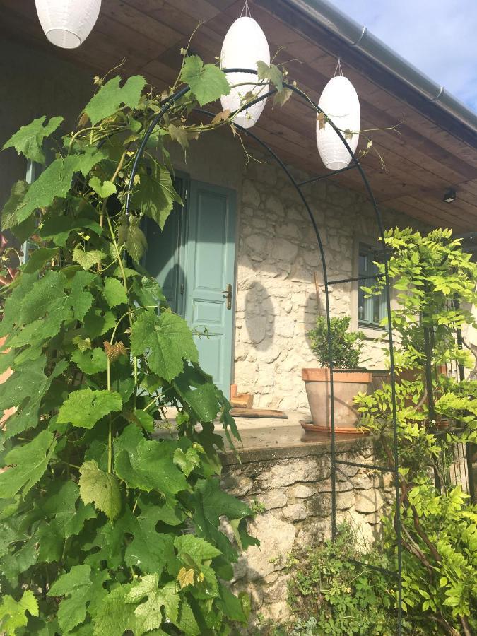 Hotel Hungry Grape Guests Erdőbénye Zewnętrze zdjęcie