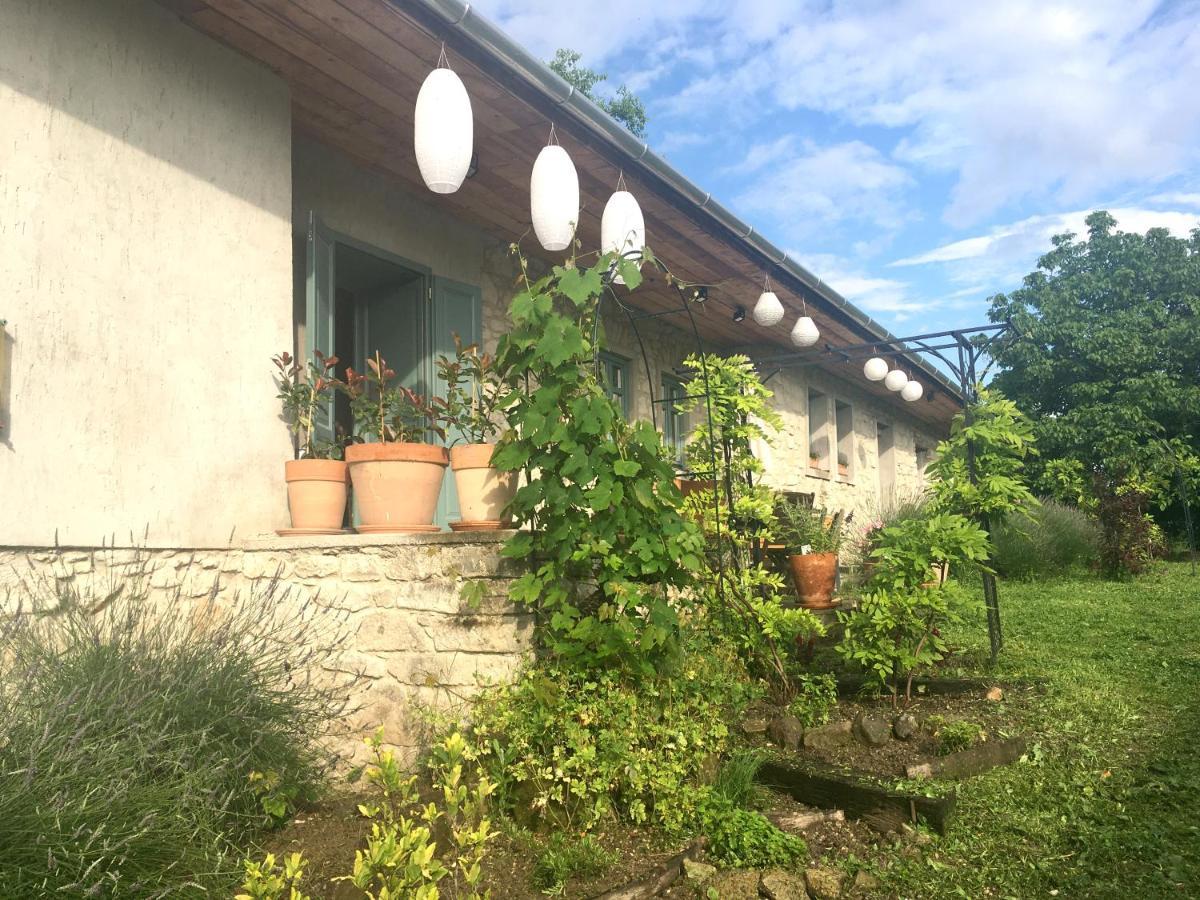 Hotel Hungry Grape Guests Erdőbénye Zewnętrze zdjęcie